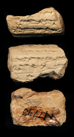 N7743