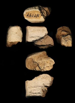 N7747