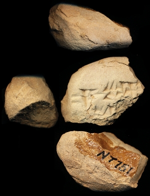 N7751