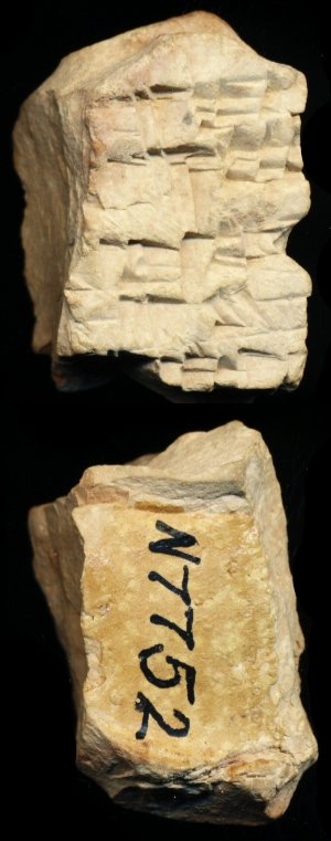 N7752