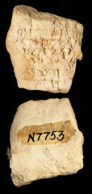 N7753