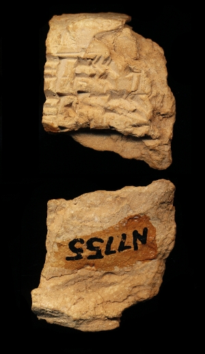 N7755