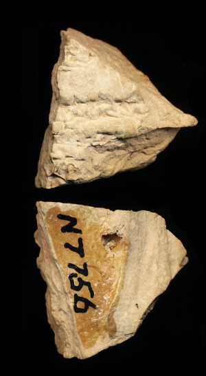 N7756