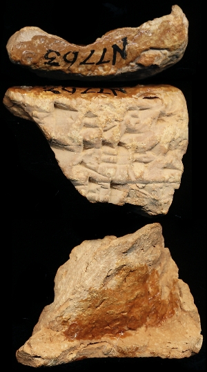 N7763