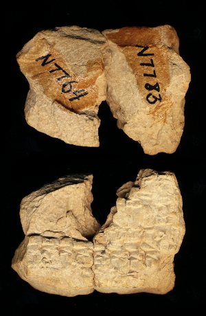 N7764