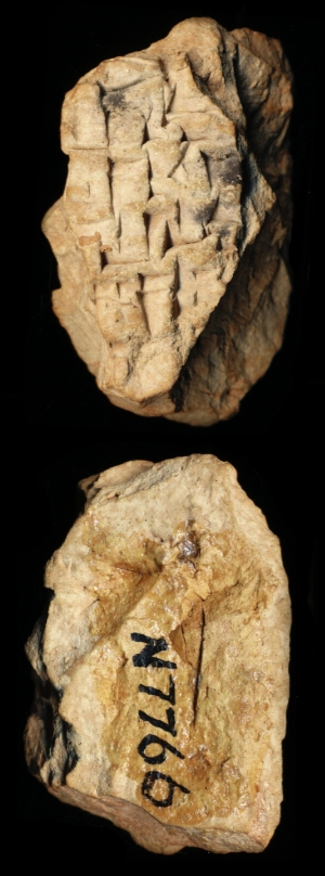N7766
