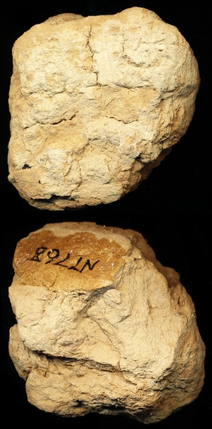 N7768