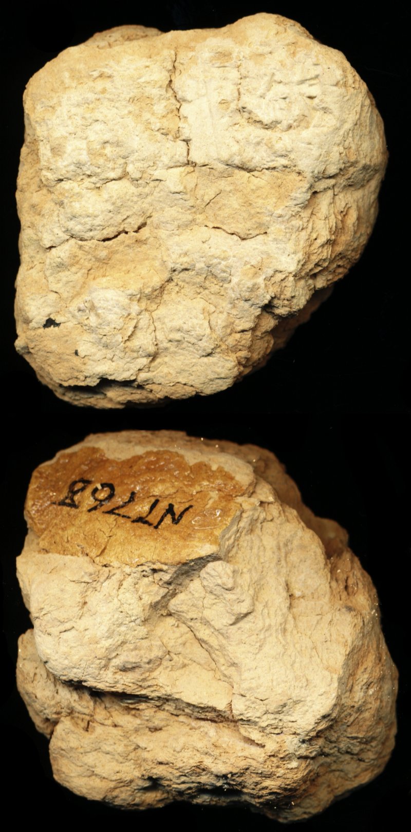 812613