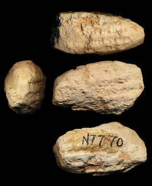 N7770