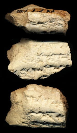 N7773