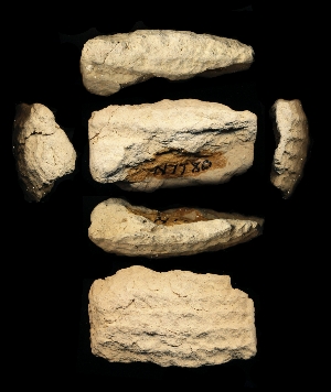 N7780