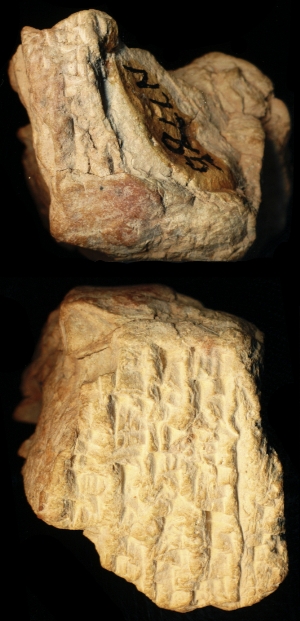 N7785