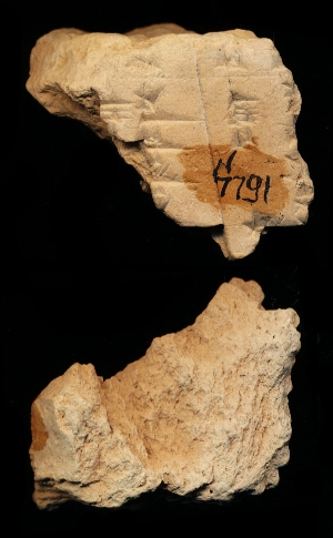 N7791