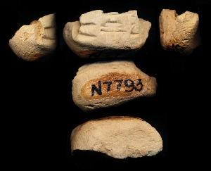 N7793