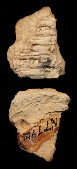 N7796