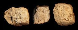 N7797