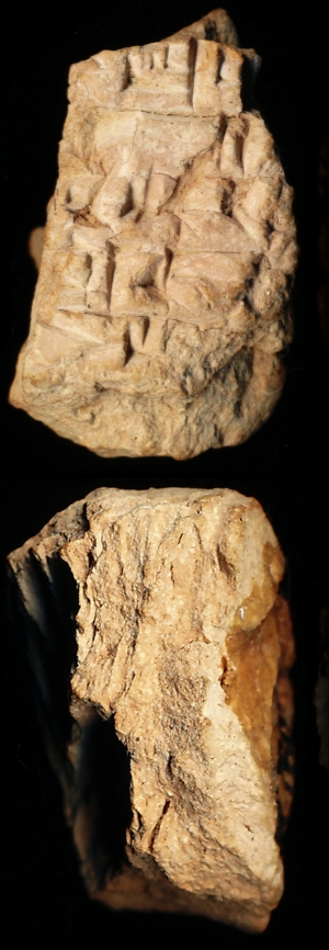N7803