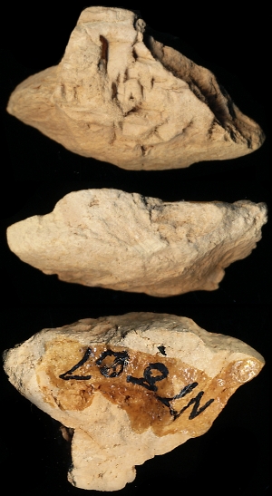 N7807