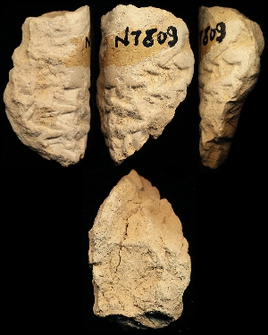 N7809