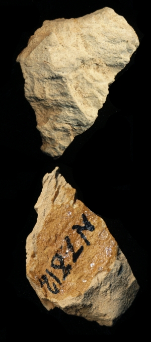 N7812