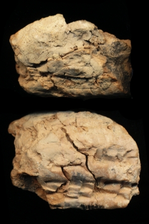 N7814