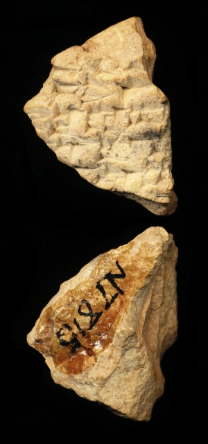 N7815