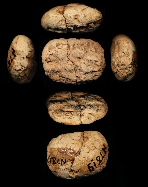 N7817