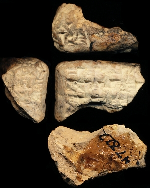 N7822