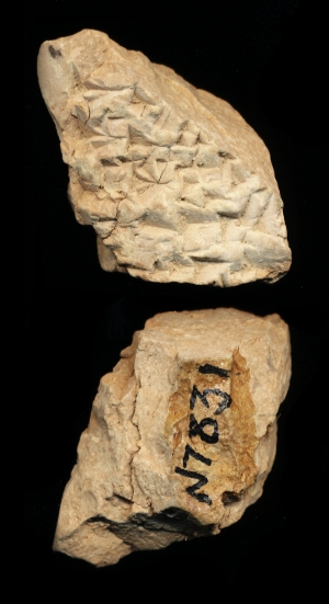 N7831