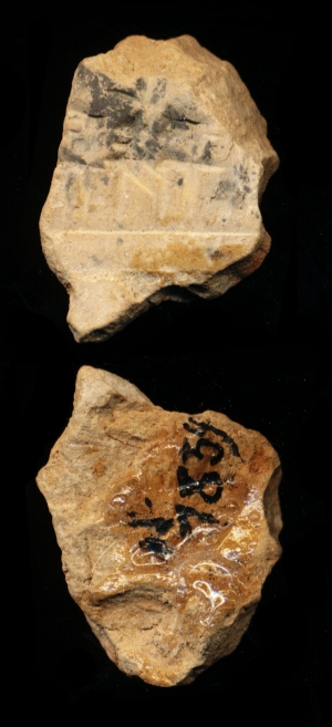 N7834