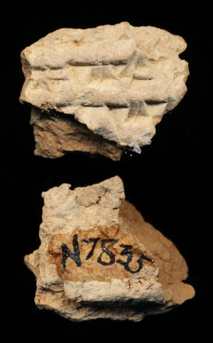N7835