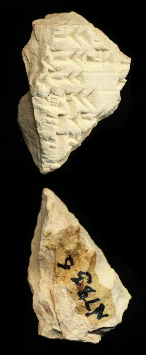 N7836