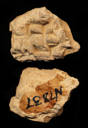 N7837