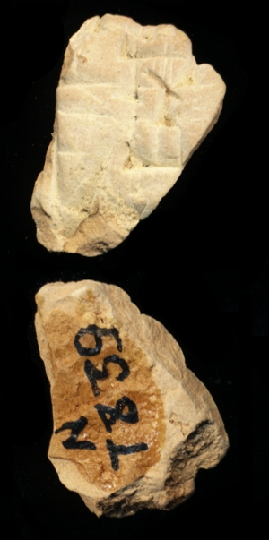N7839