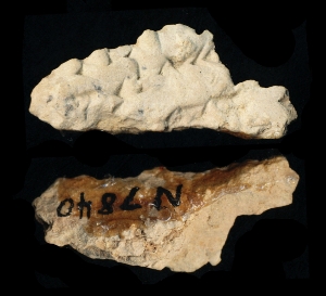 N7840
