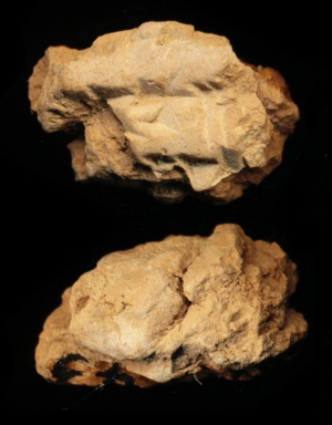 N7843