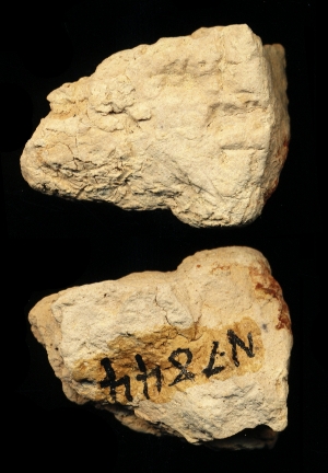 N7844