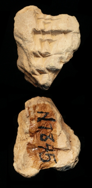 N7845
