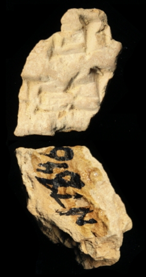 N7846