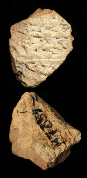 N7854