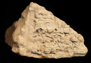 N7858