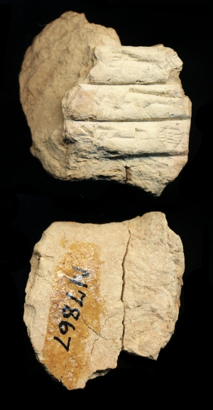 N7867
