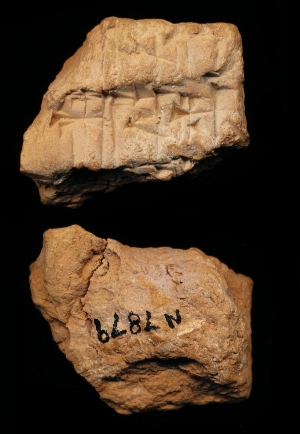 N7879