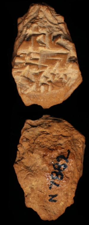 N7882