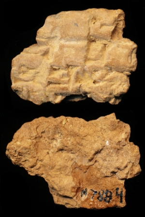 N7884