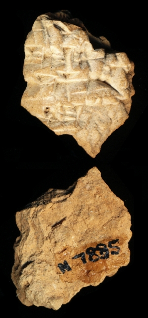 N7885