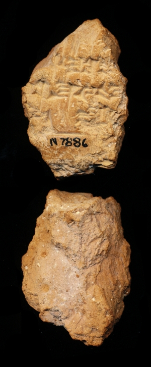N7886