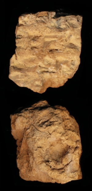 N7889