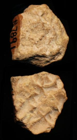 N7891