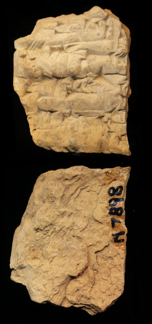 N7898
